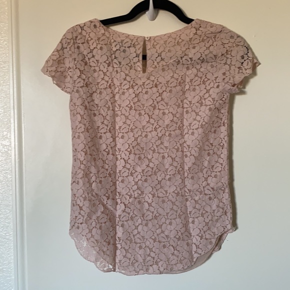 Aritzia Delicate Pink Lace Top - Picture 6 of 6